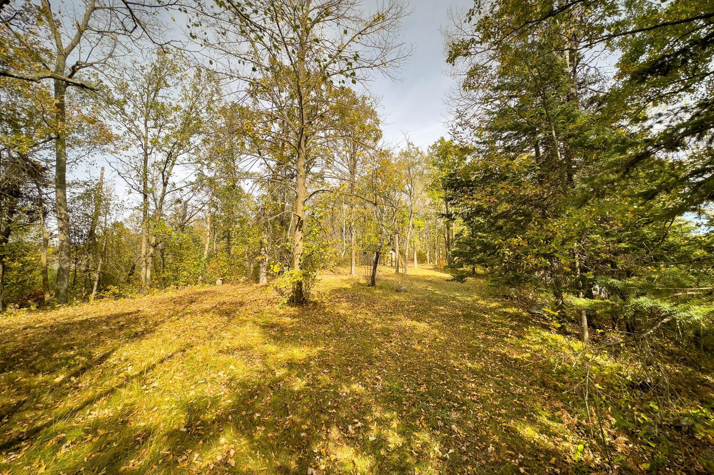 Tract B Brietbach Road, Park Rapids, MN 56470