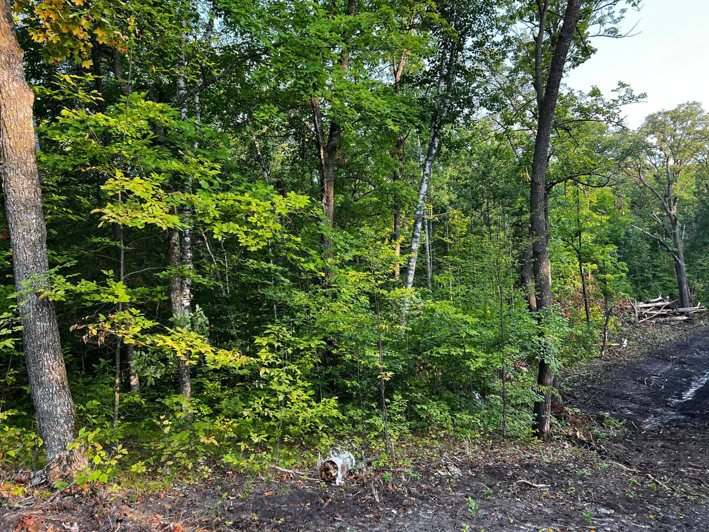 TBD Lot 11 300th Avenue, Island Lake Twp, MN 56651