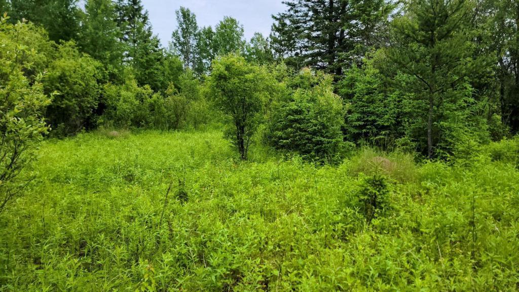 xxx Heino Road, Angora, MN 55703