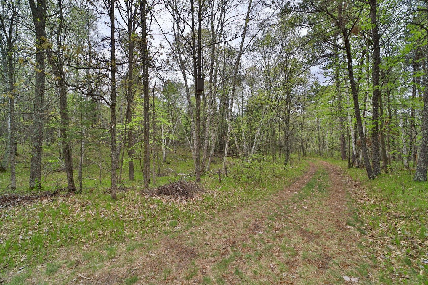 TBD Wildlife Trail, Pequot Lakes, MN 56472