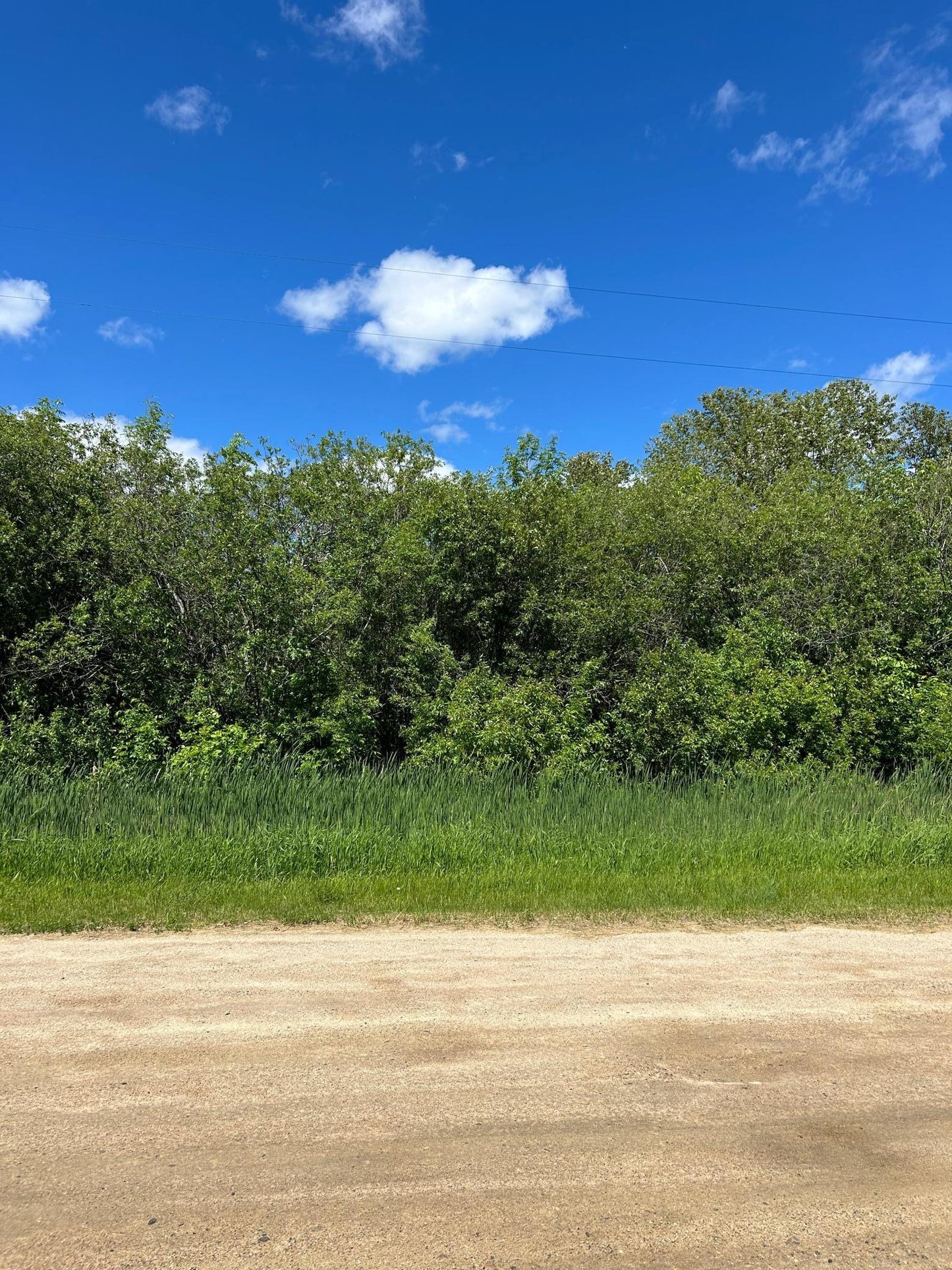 TBD Graceton Beach Road, Williams, MN 56686