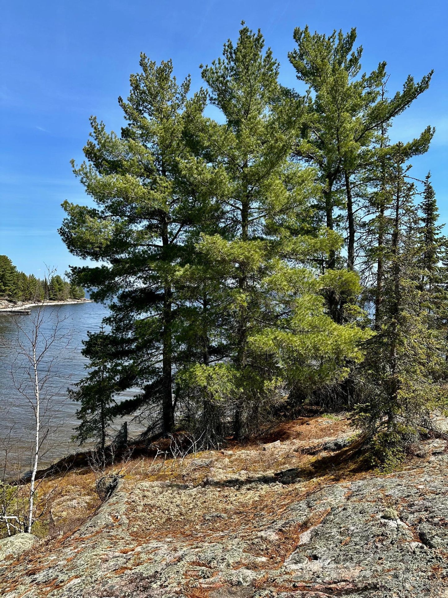 TBD Kabetogama Lake , Kabetogama Twp, MN 56669