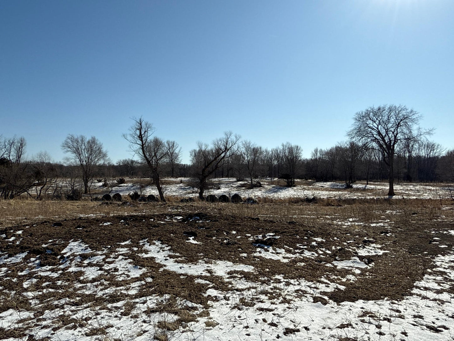 Pasture Land Section 13 / 24 Delhi TWP , Delhi Twp, MN 56283