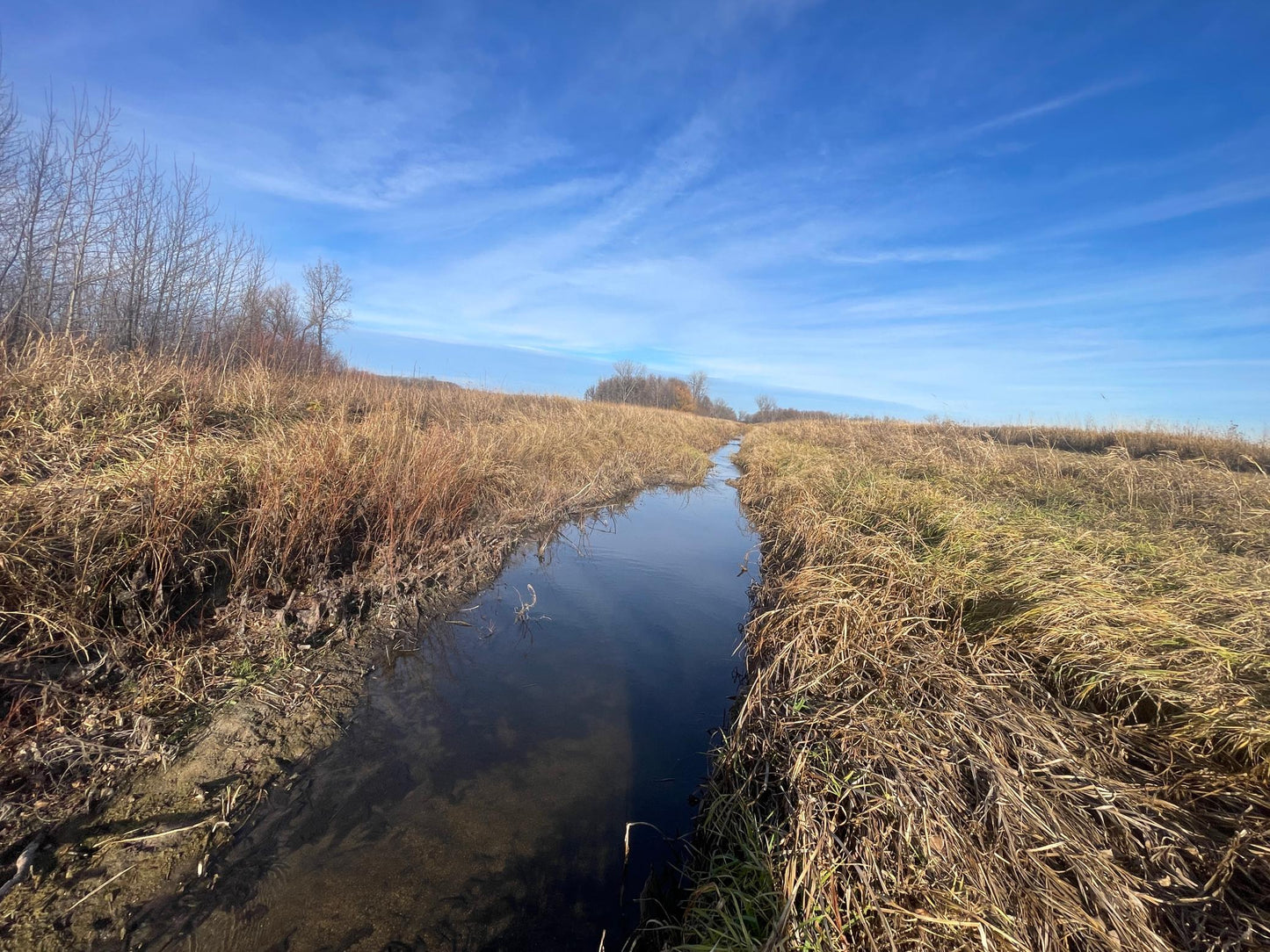 TBD HWY 10 , Bray Twp, MN 56701