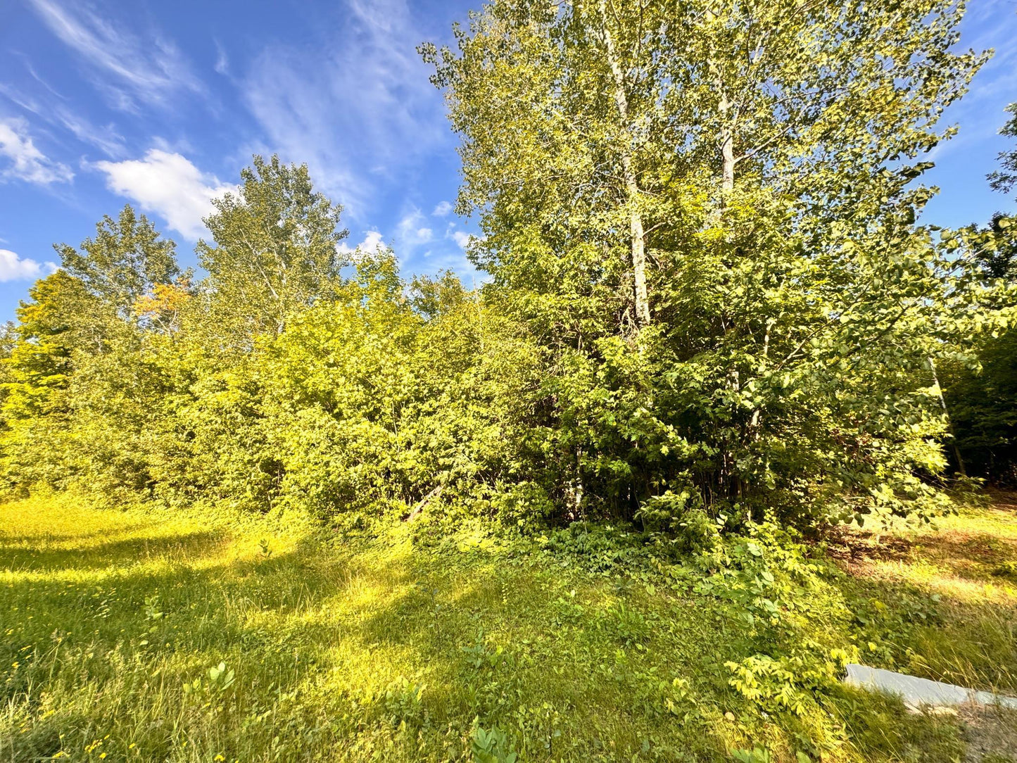 TBD Vagabond Loop Vagabond Loop , Bemidji, MN 56601