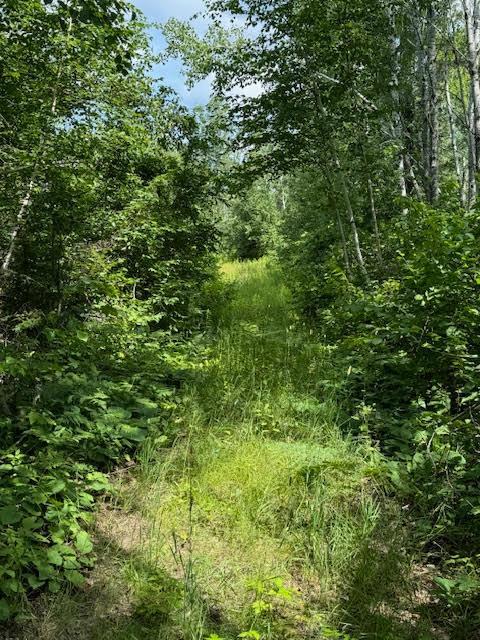 XX40 acres W Center Road , Clear Creek Unorg. Terr., MN 55707