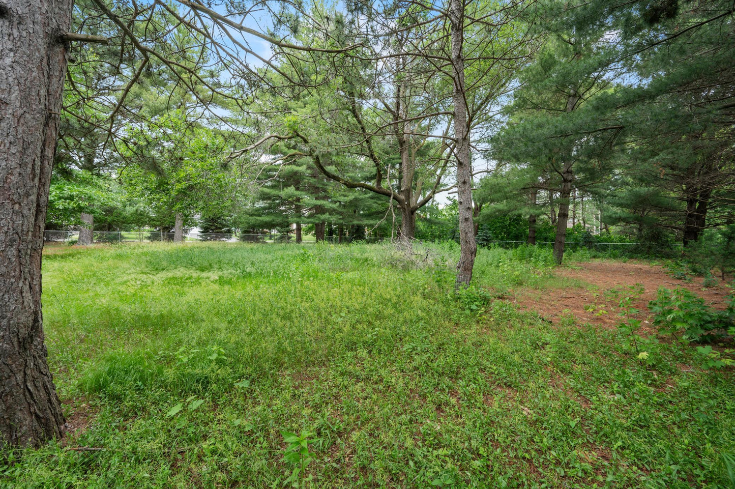 xxx Buffalo Lane, Shoreview, MN 55126