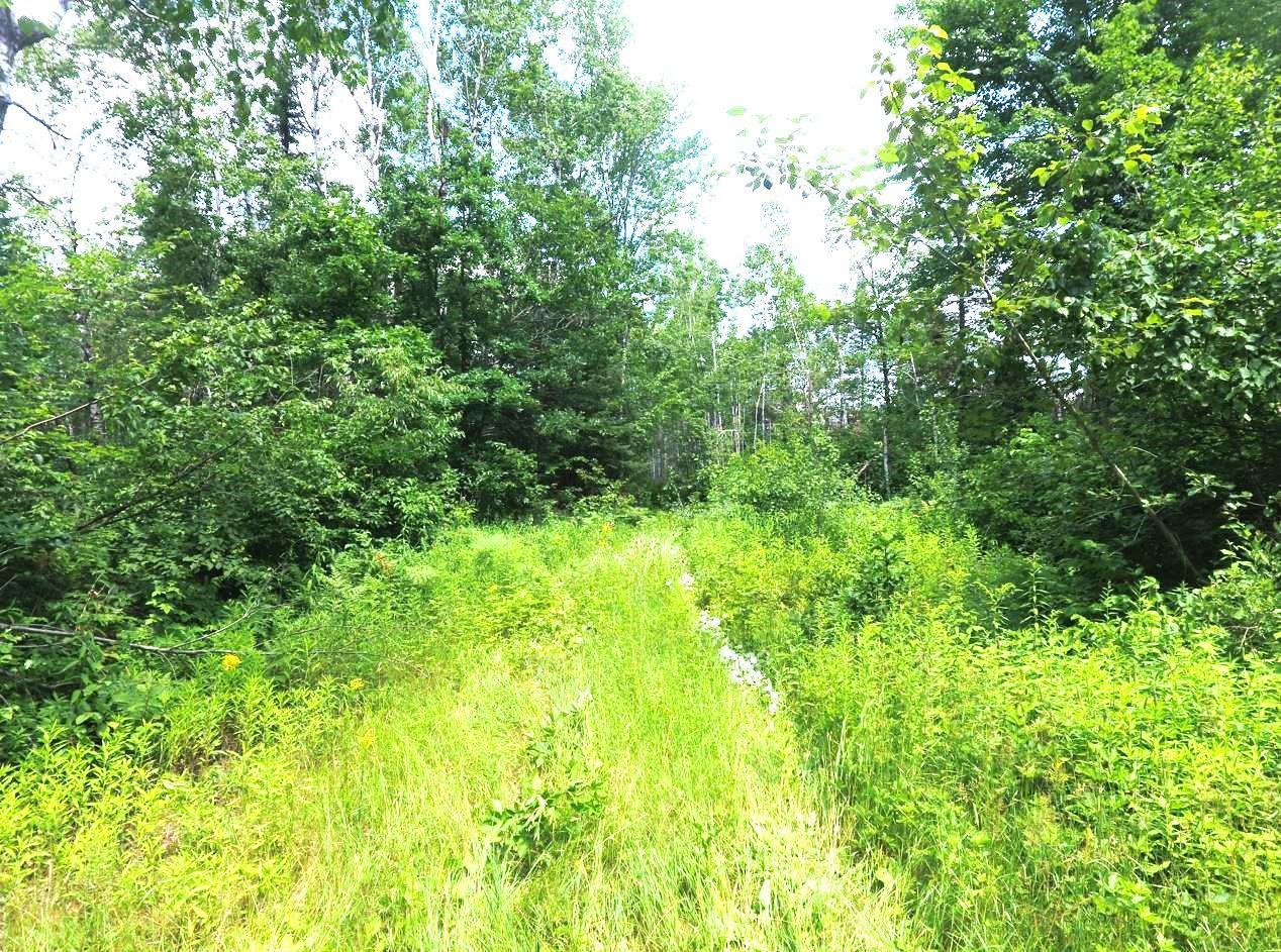 XX40 acres W Center Road , Clear Creek Unorg. Terr., MN 55707