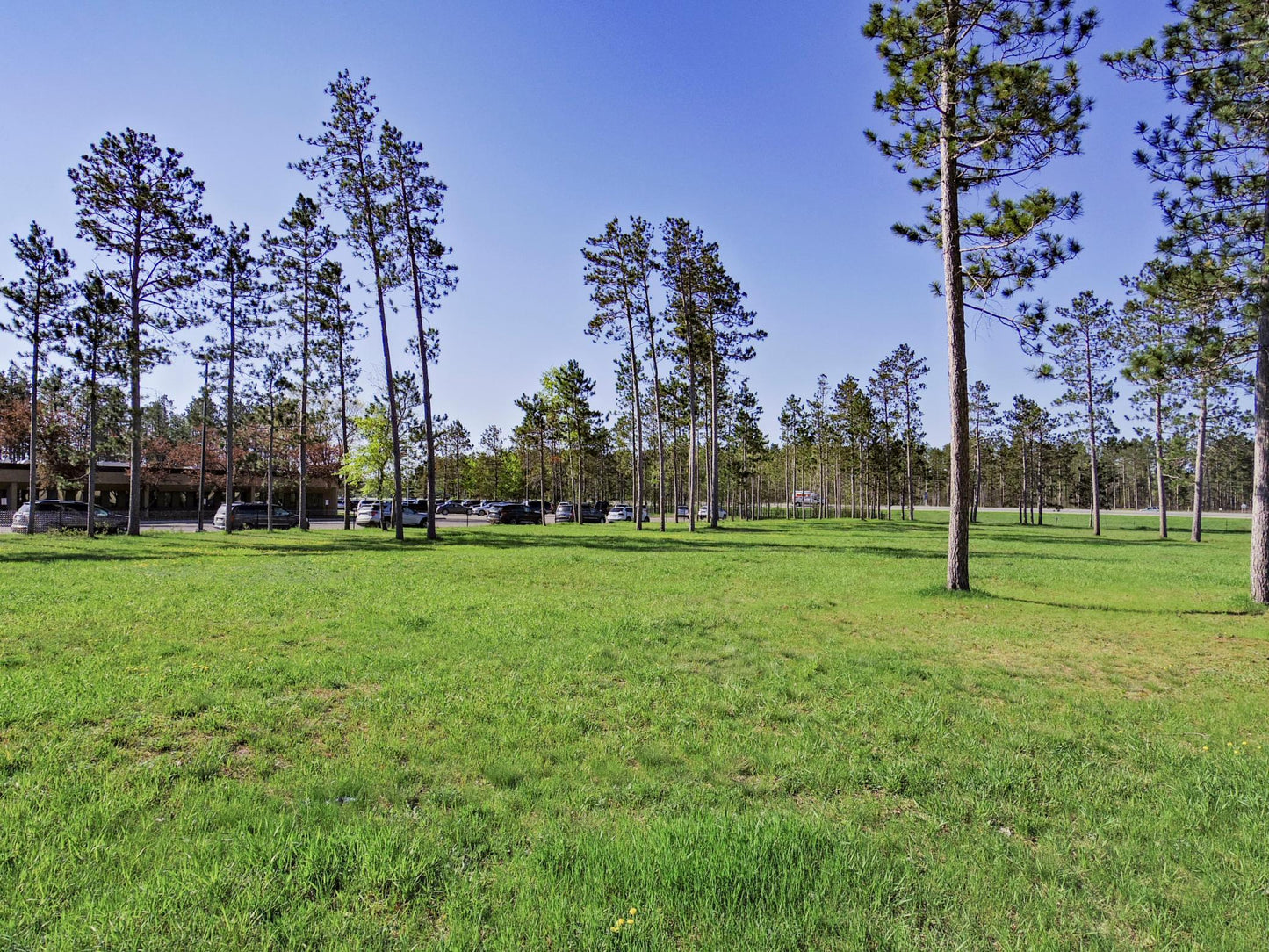 TBD Comfort Drive, Bemidji, MN 56601