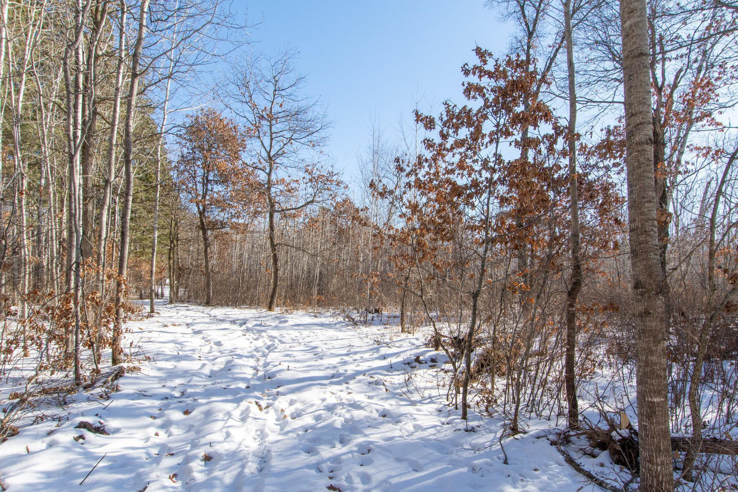 Tract D Polaris , Mission Twp, MN 56465