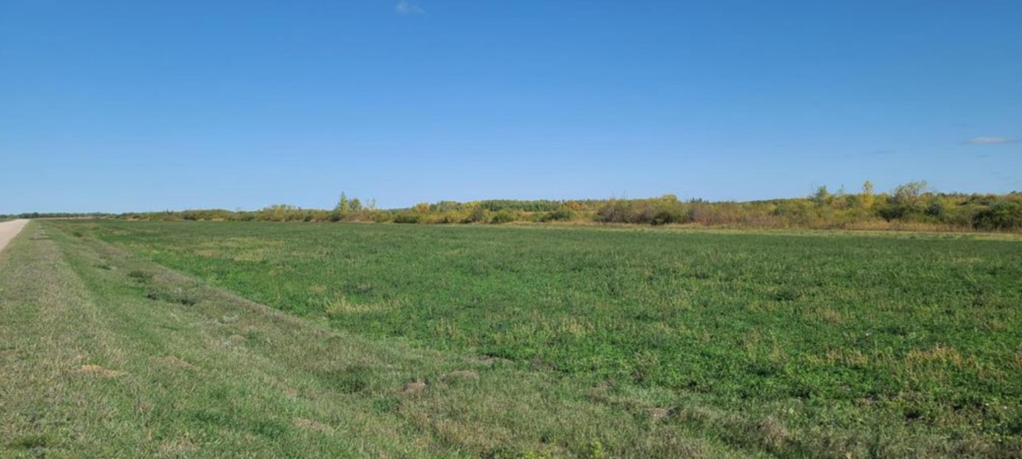 TBD Co Rd 114 , Strandquist, MN 56758