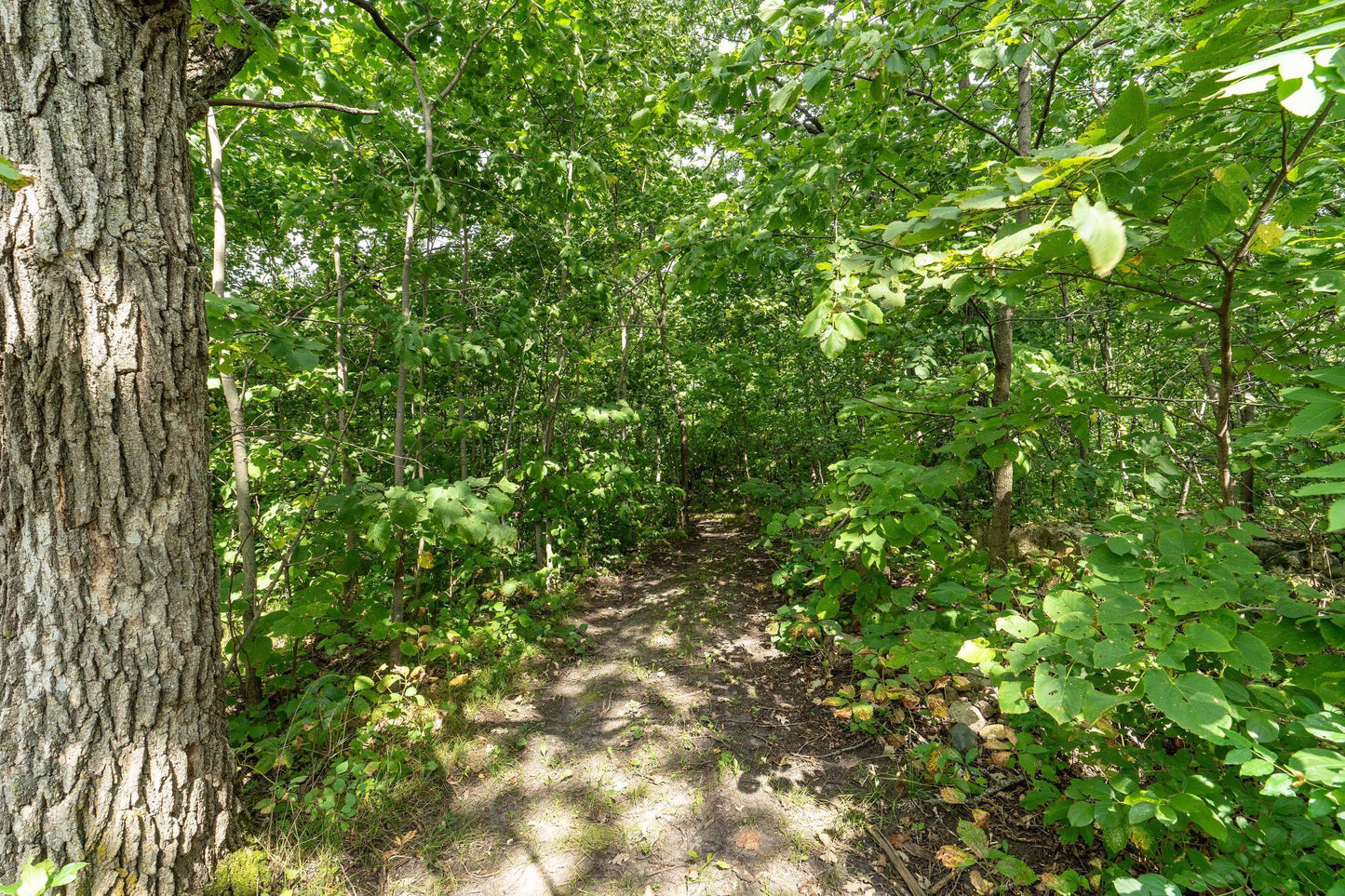 Lot D 202nd Avenue, Fergus Falls, MN 56537