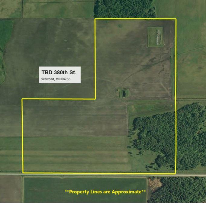 TBD 380th Street, Warroad, MN 56763