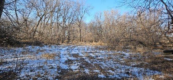 Parcel 3 Willow Road, Carlos, MN 56319