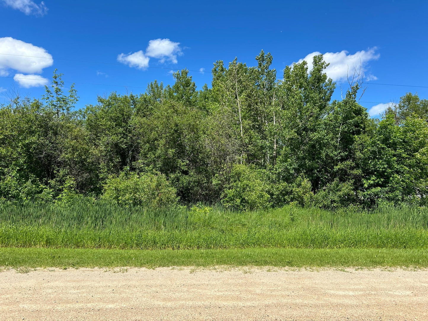 XXX Graceton Beach Road, Williams, MN 56686