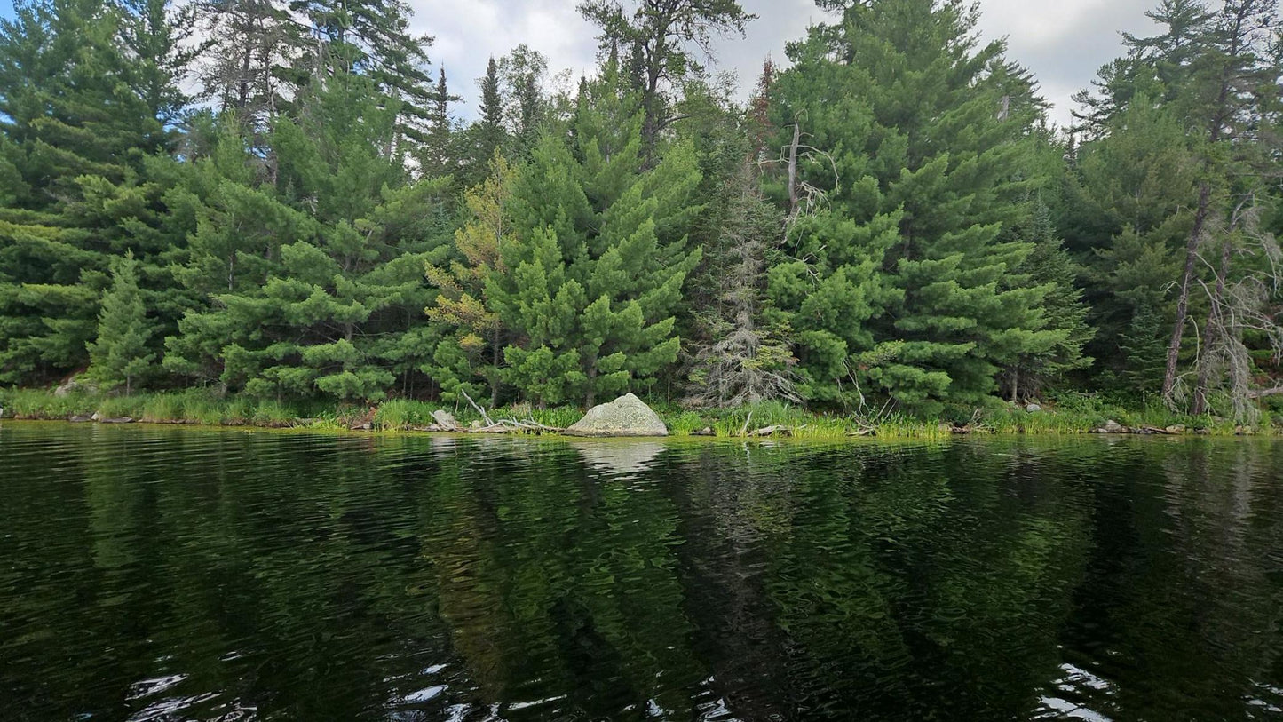 TBD Ban Lake Spur, Orr, MN 55771