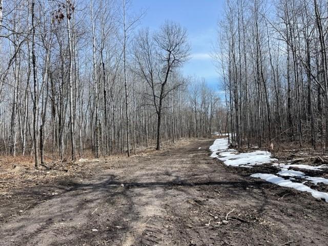 TBD Lot 5 New Manz Drive, Lake George, MN 56458