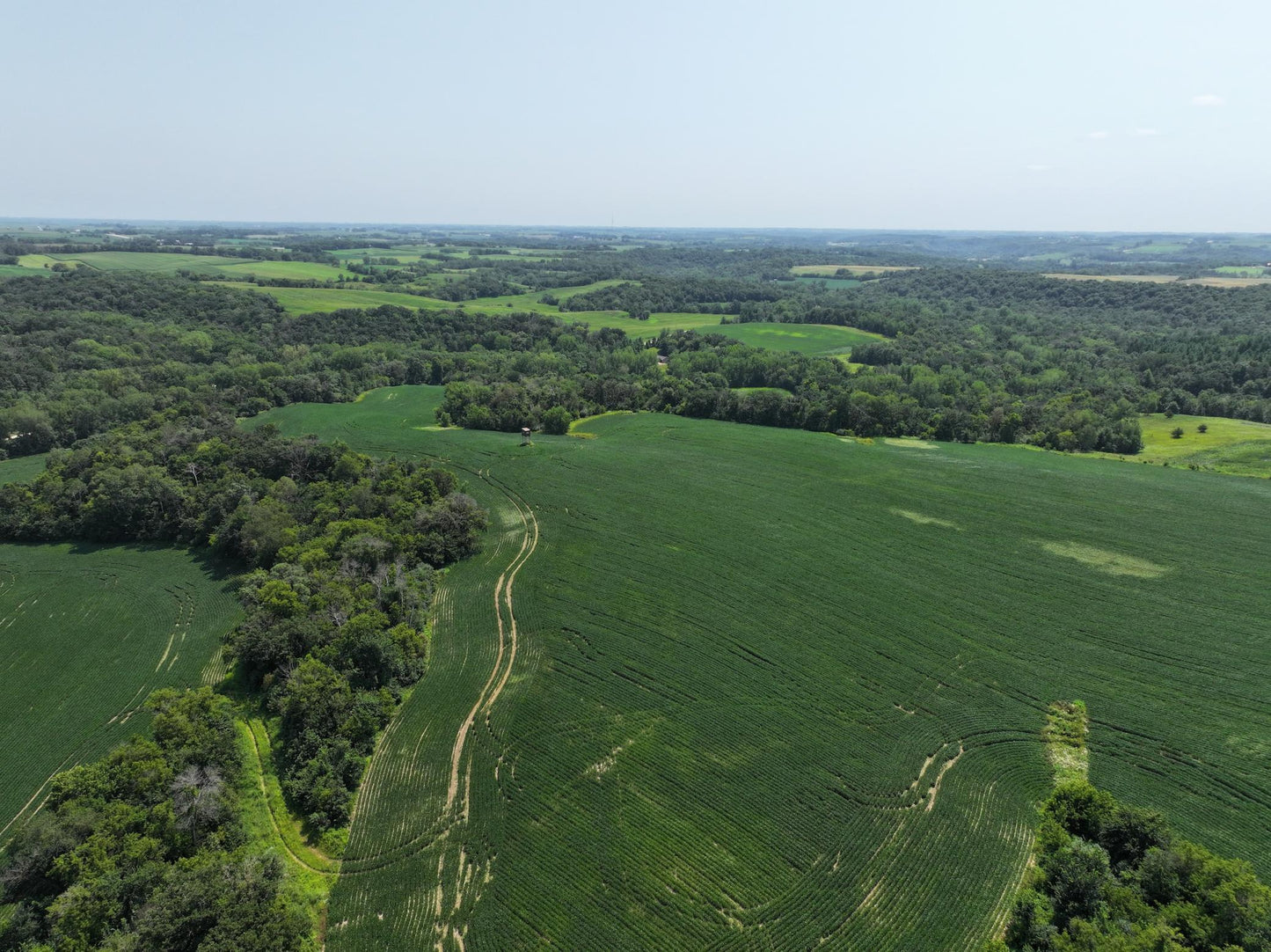 xxxx County Road 3 , Zumbro Falls, MN 55991