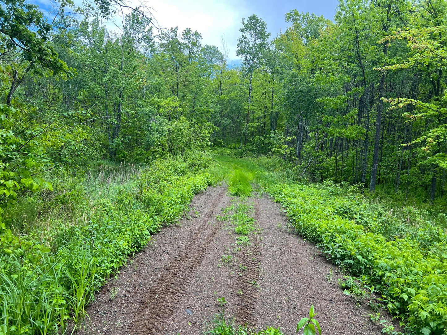 XXX Woods Road, Isle, MN 56342