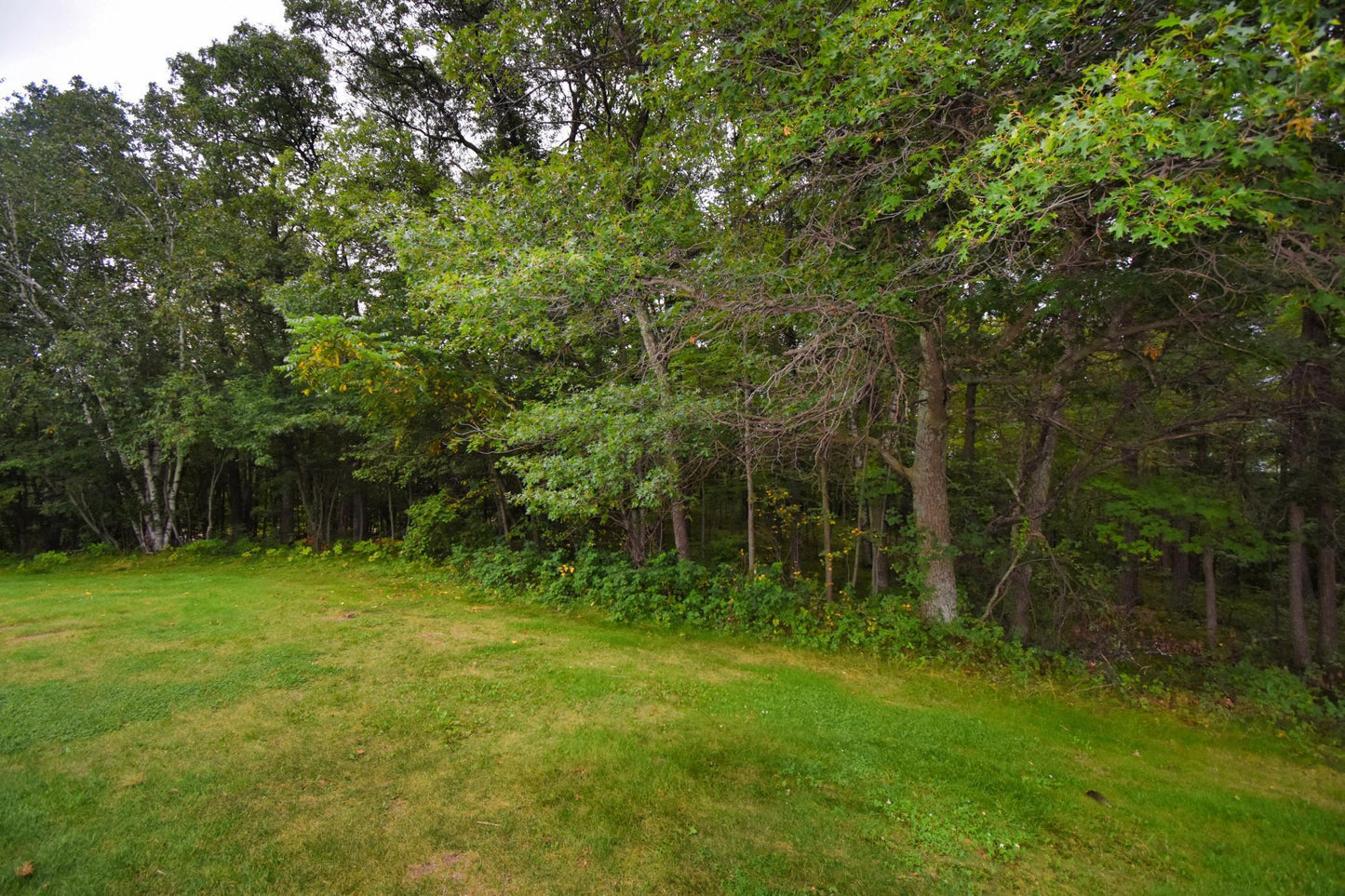 TBD Osceola Circle , Breezy Point, MN 56472