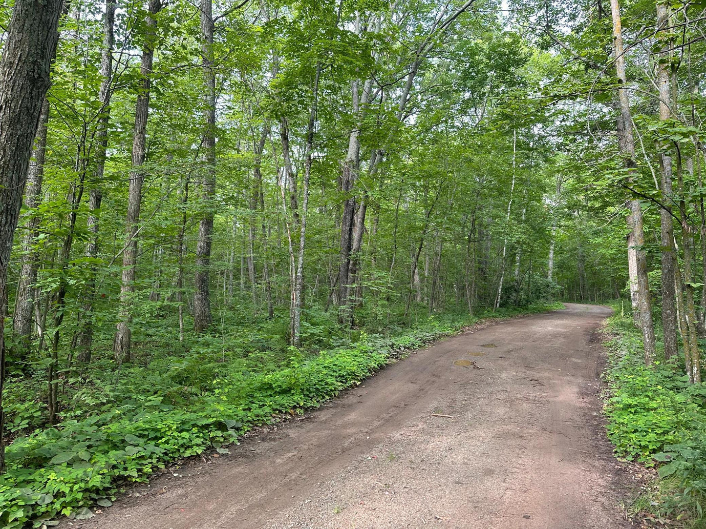 XXX Wilson Lake Drive , Bay Lake Twp, MN 56444