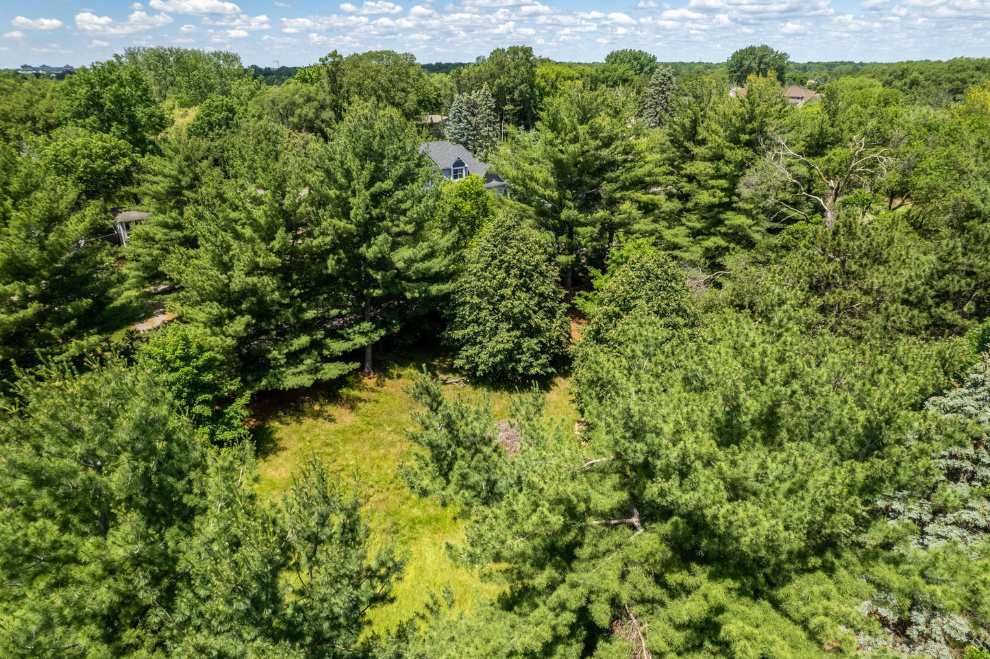 xxx Buffalo Lane, Shoreview, MN 55126