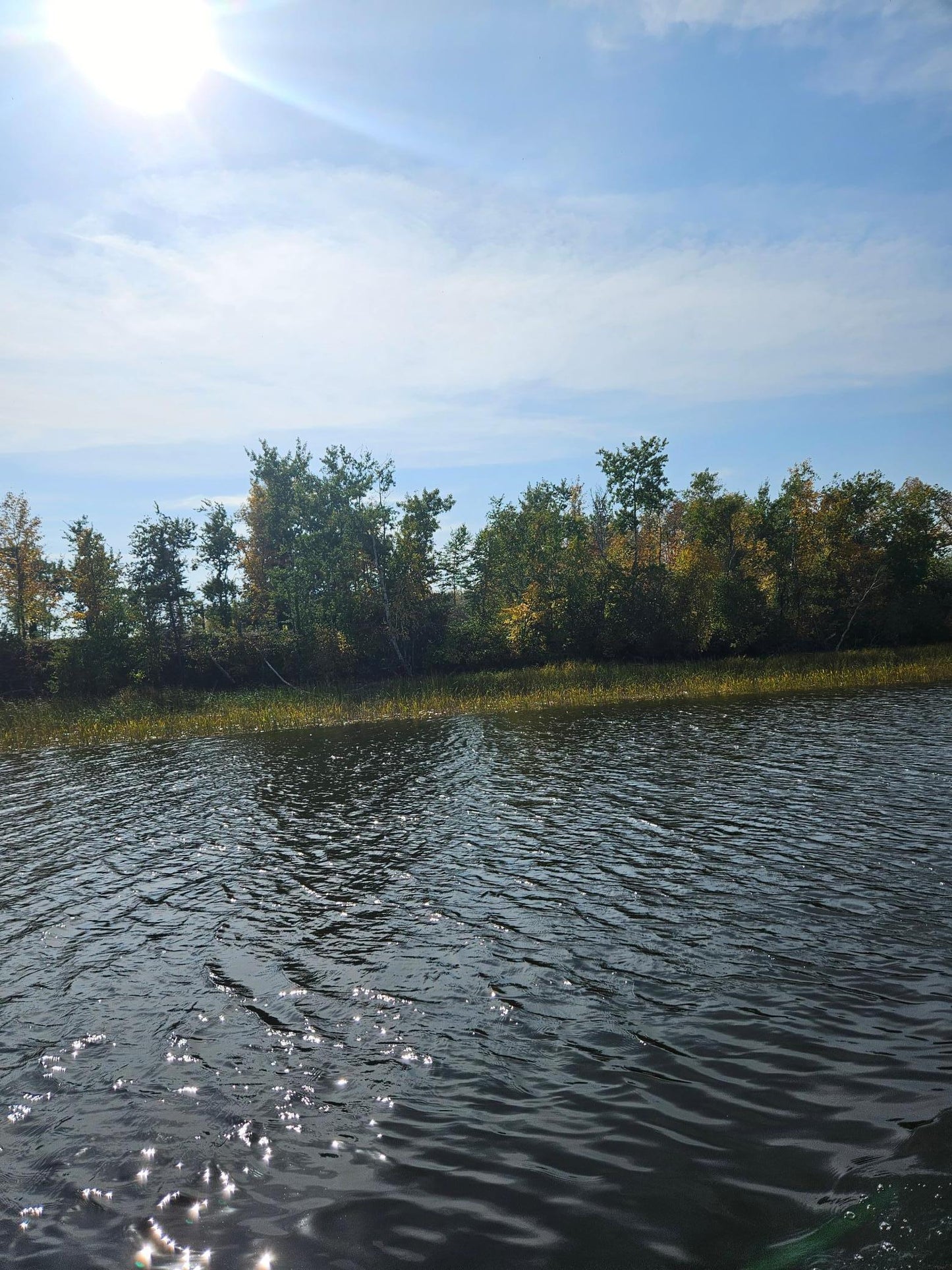 lot15 Hooper Creek Loop , Baudette, MN 56623