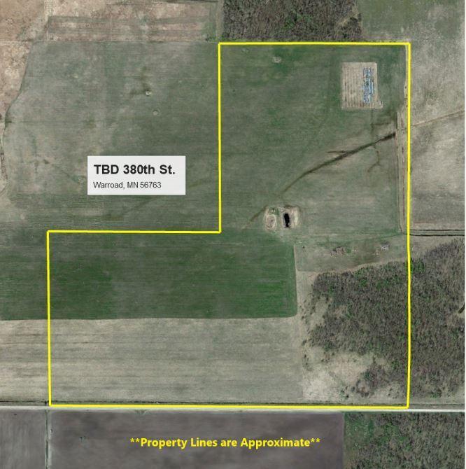 TBD 380th Street, Warroad, MN 56763