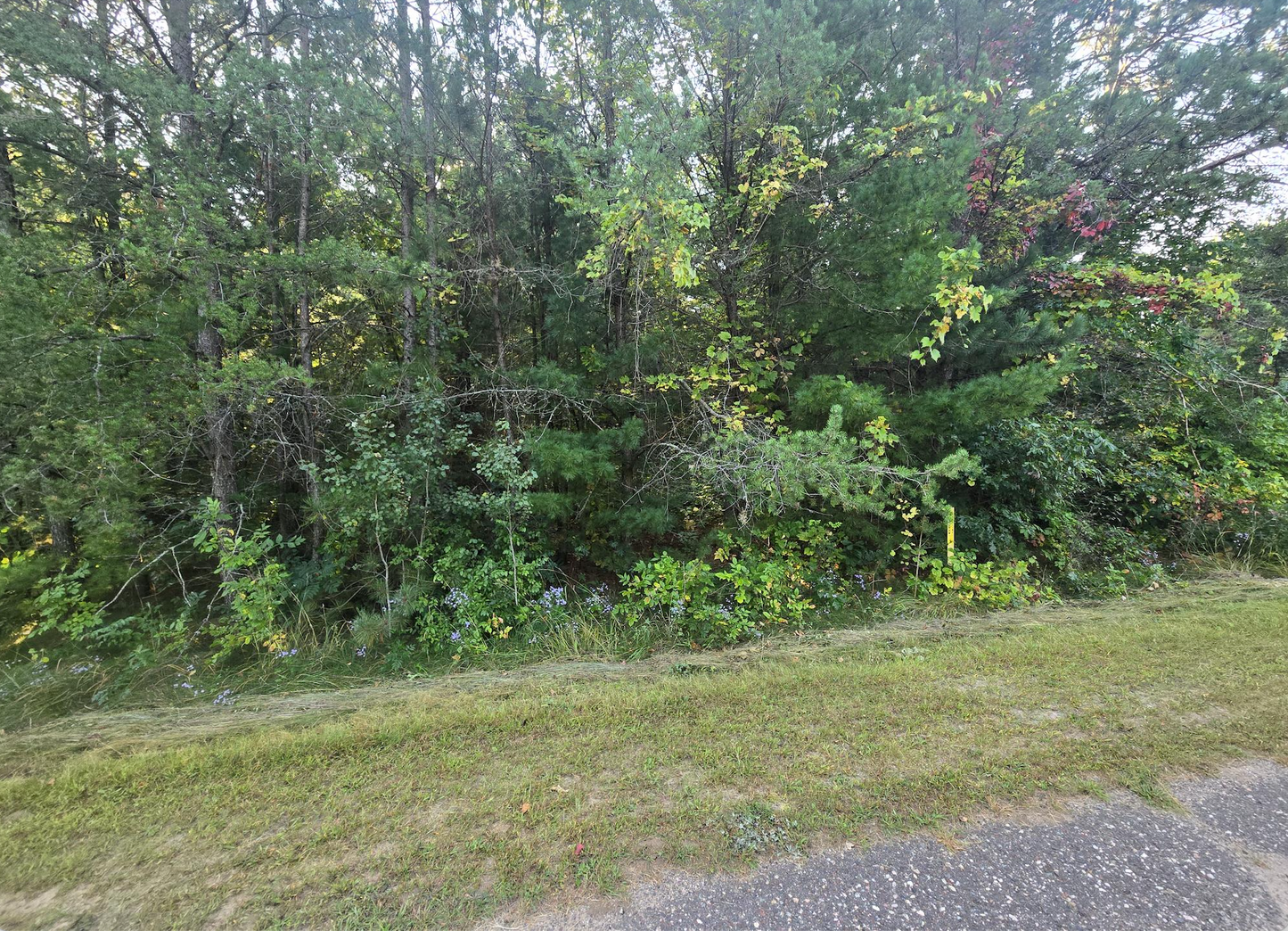 TBD Shoreline Drive , Little Falls, MN 56345