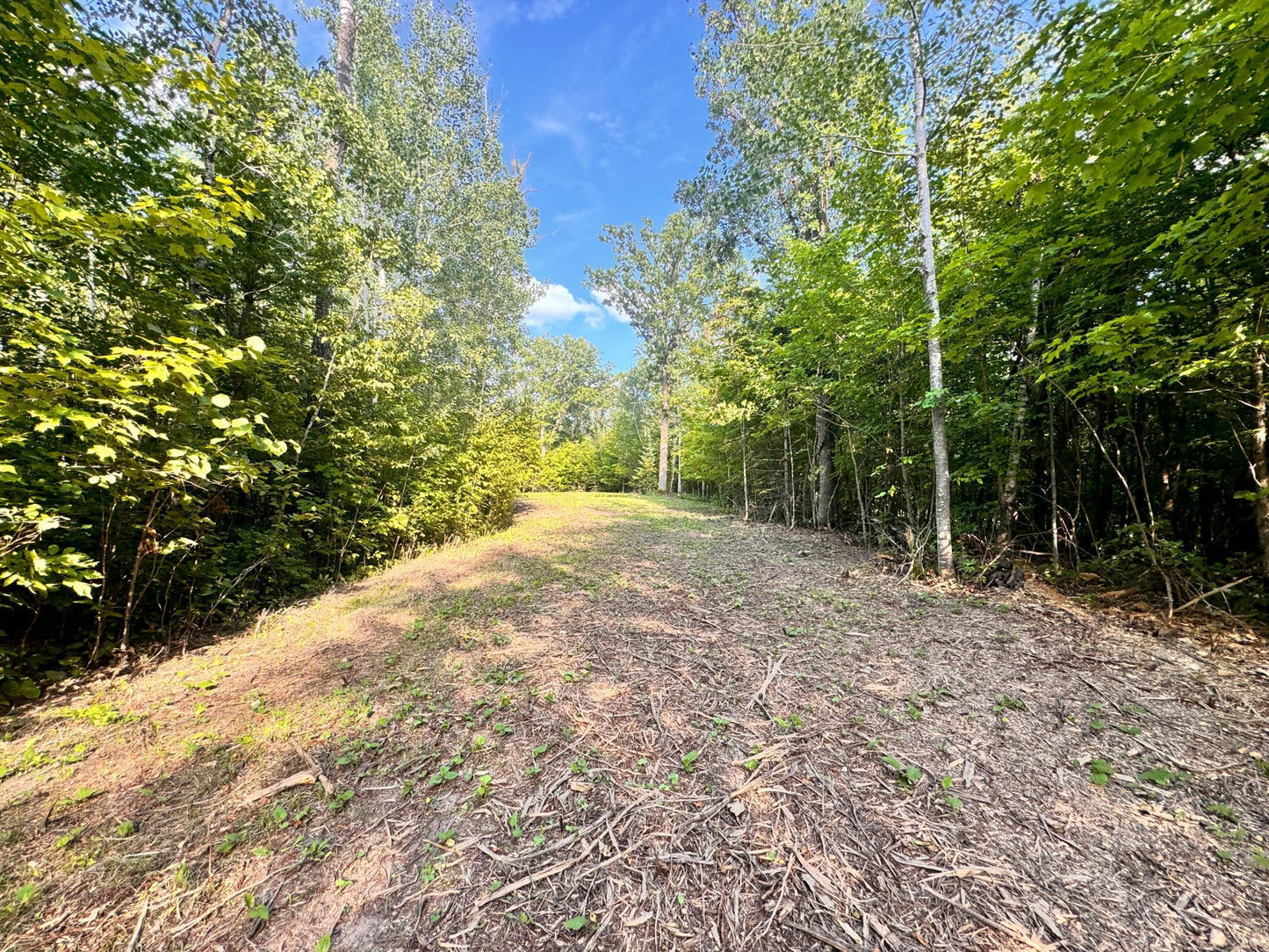 TBD Vagabond Loop Vagabond Loop , Bemidji, MN 56601