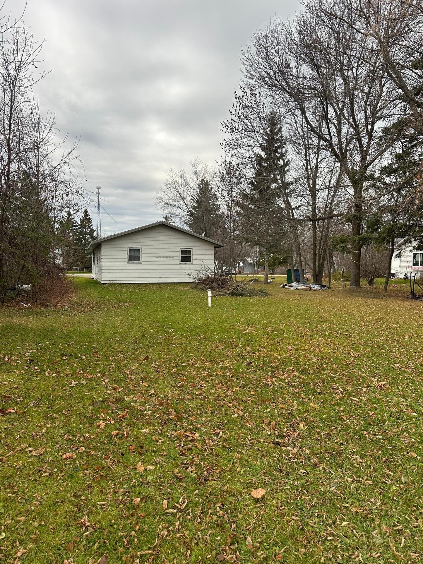 330 Meloney Avenue, Williams, MN 56686