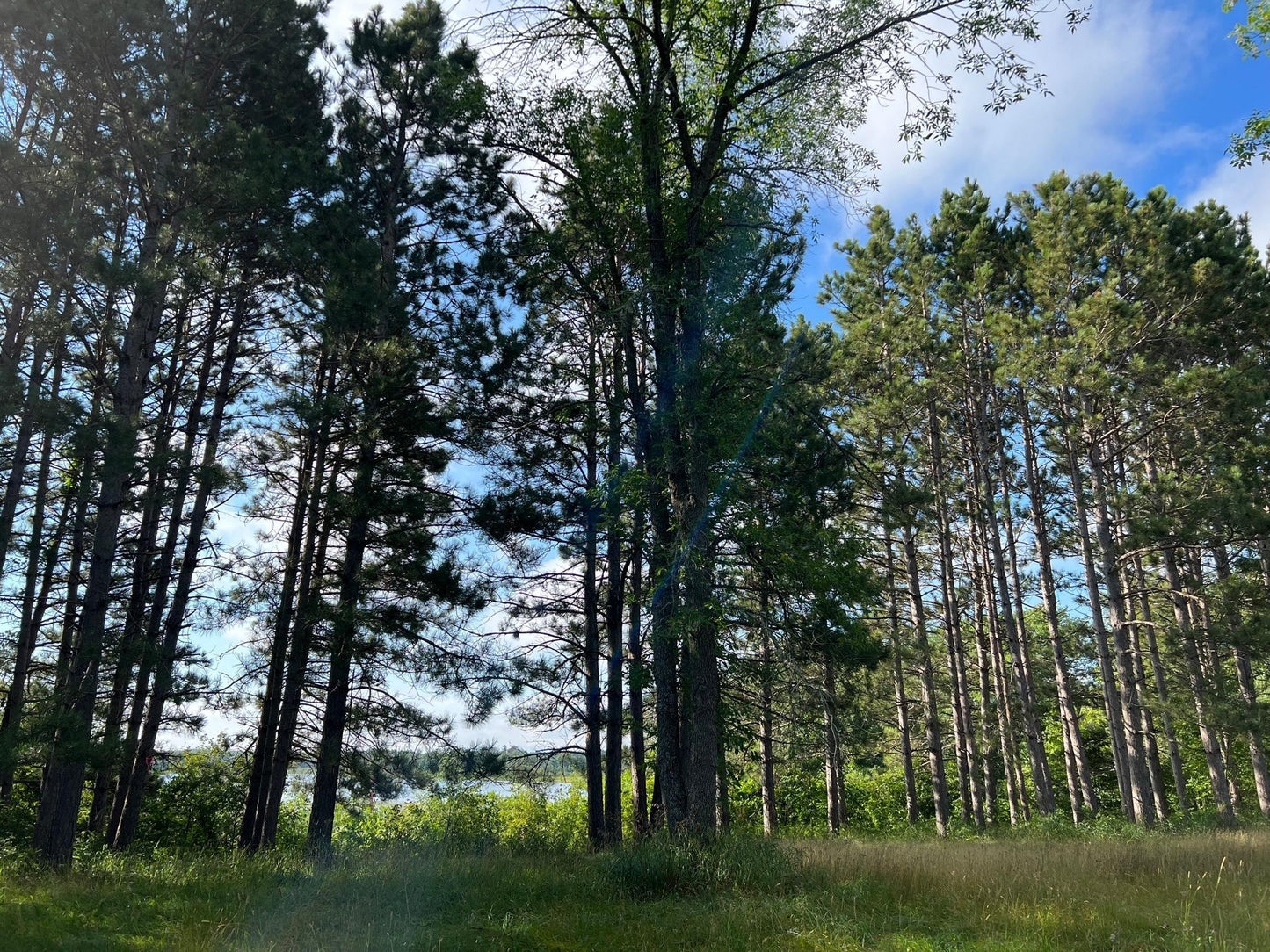 Tract 1 Lake Breeze Lane, Longville, MN 56655