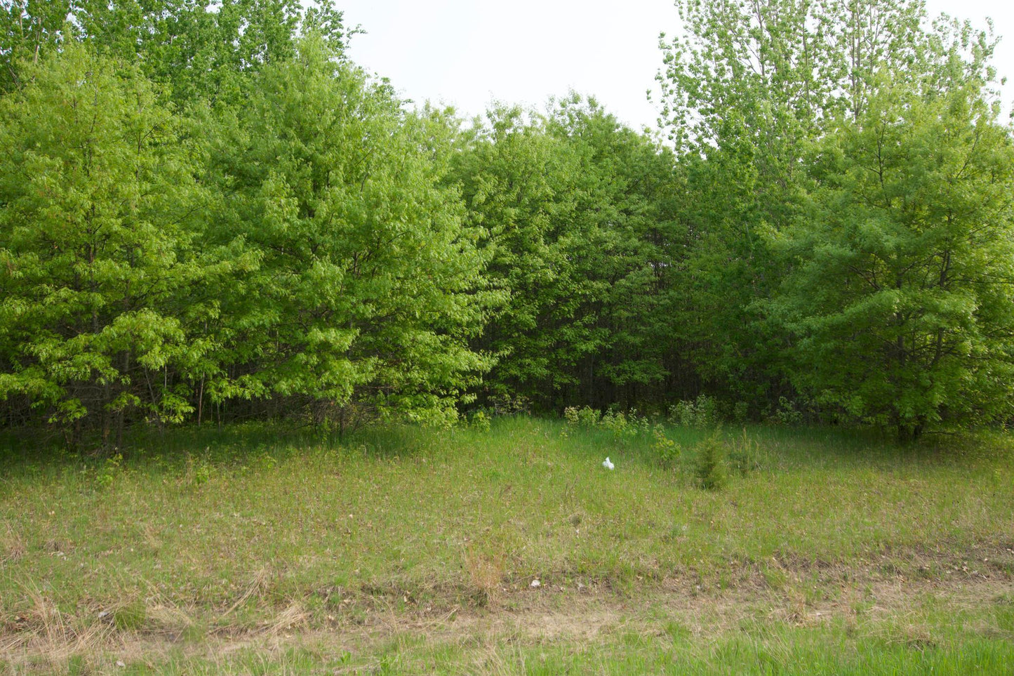 XXX Lot 3 283rd Avenue, Zimmerman, MN 55398