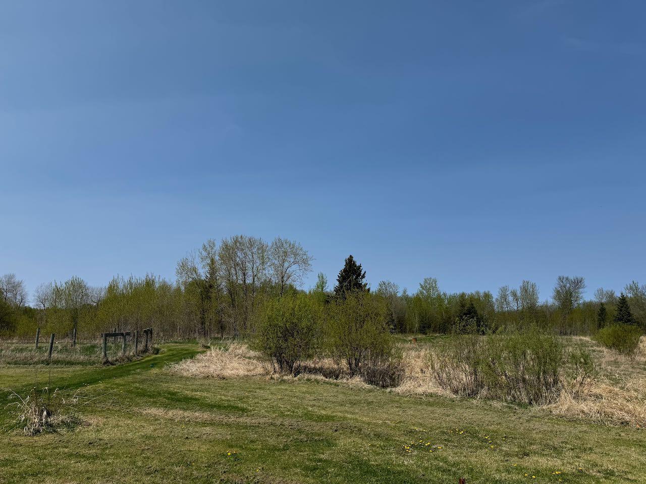 17181 Shotley Road, Kelliher, MN 56650