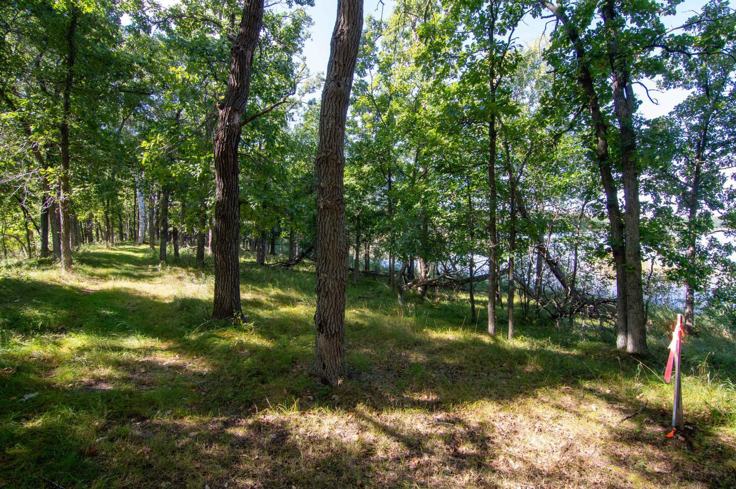 TBD Deacons Way, Pequot Lakes, MN 56472