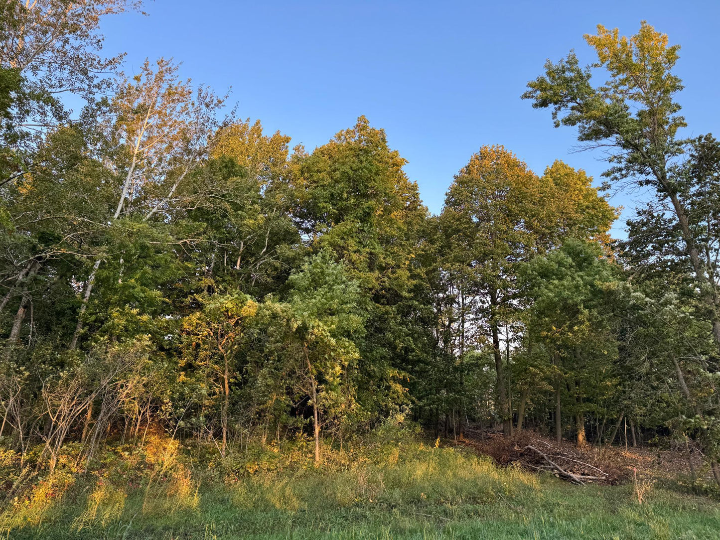 (LOT 4) TBD Rock Lake Road, Rochert, MN 56578