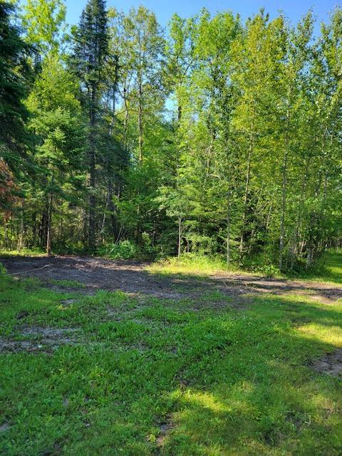 Lot 9 - TBD Driftwood Lane, Baudette, MN 56623