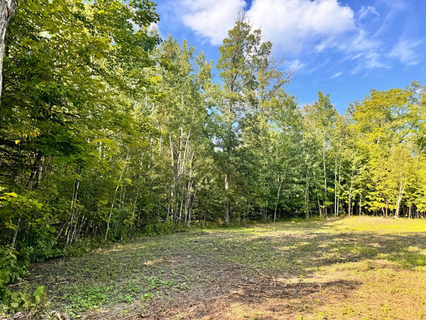 TBD Vagabond Loop Vagabond Loop , Bemidji, MN 56601